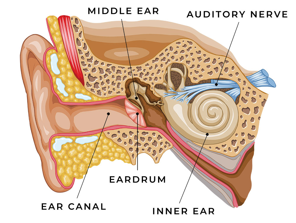 Hearing Loss Cambridge Audiology